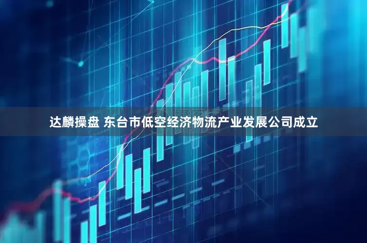 达麟操盘 东台市低空经济物流产业发展公司成立