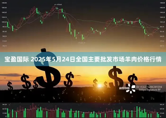 宝盈国际 2025年5月24日全国主要批发市场羊肉价格行情